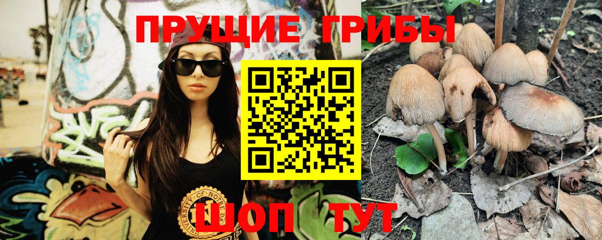 Галлюциногенные грибы Psilocybe  Вход с VPN  Кизилюрт 